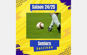 🔵🟡 Seniors R3 : Sullivan / Samir 🔵🟡