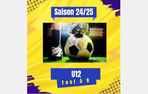 Equipe Futur U12 (2013)