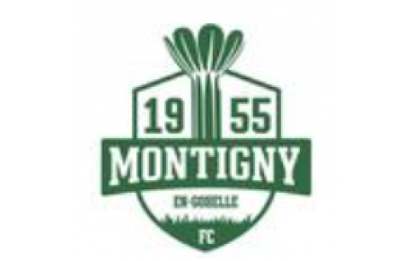 MONTIGNY EN GOHELLE FC