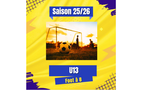 U13 (2013)